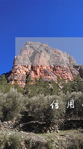 信用卡逾期 无法返款 信用卡逾期 无法返款